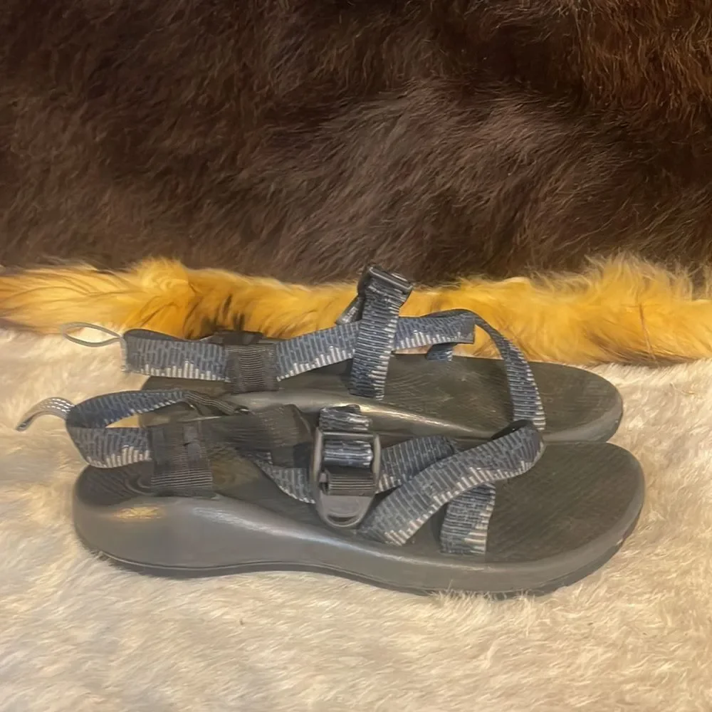 Chaco great